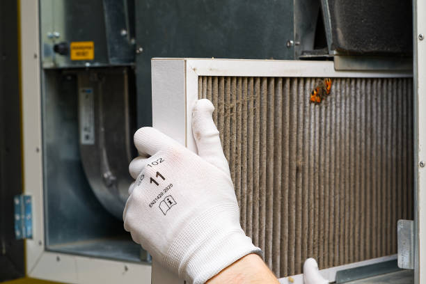 Best Air Duct Mold Removal  in Dunbar, SC
